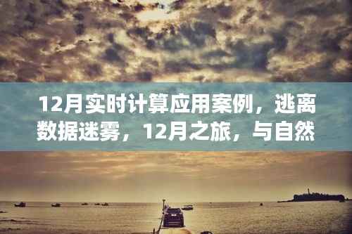 12月实时计算应用案例,数据迷雾中的逃离之旅与自然美景的实时对话