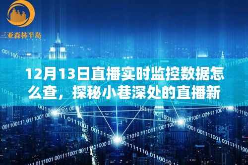 探秘直播新风尚,揭秘特色小店非凡魅力与直播实时监控数据解析