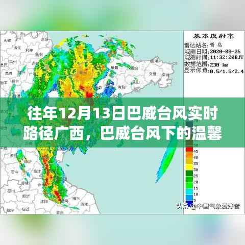 巴威台风下的广西故事,温馨轨迹与家的羁绊实时更新