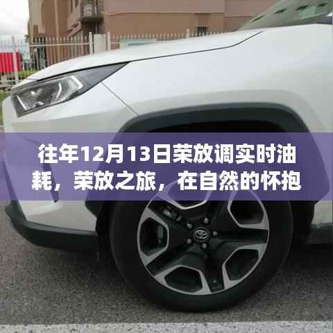 荣放之旅,自然怀抱下的油耗与心灵平衡探索