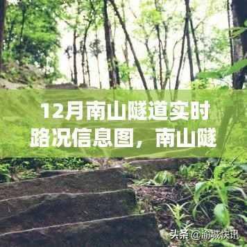 南山隧道暖心时光,实时路况信息图引发日常趣事