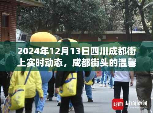 成都街头温馨日常,奇遇与陪伴的暖心瞬间