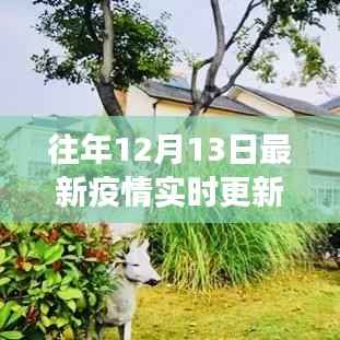 鞭驽策蹇