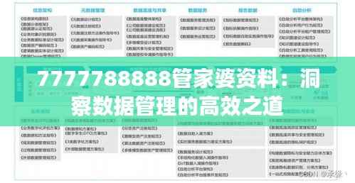 7777788888管家婆资料:洞察数据管理的高效之道