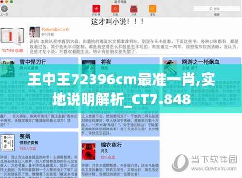 王中王72396cm最准一肖,实地说明解析_CT7.848