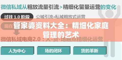 管家婆资料大全:精细化家庭管理的艺术