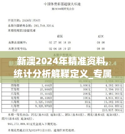 新澳2024年精准资料,统计分析解释定义_专属款12.303