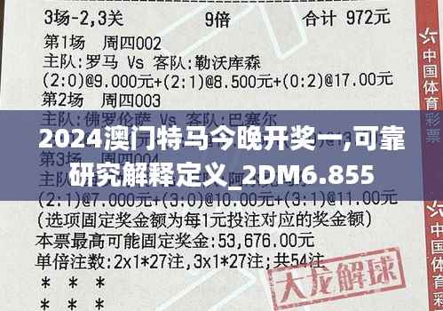2024澳门特马今晚开奖一,可靠研究解释定义_2DM6.855