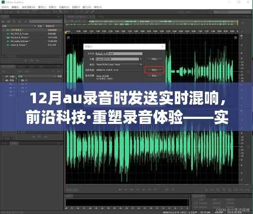 前沿科技重塑录音体验,实时混响传送神器引领音频未来新纪元