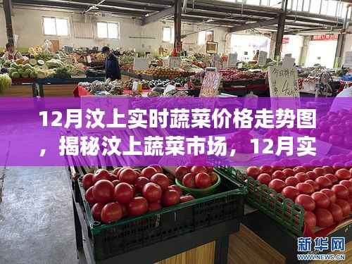 揭秘汶上蔬菜市场,12月实时蔬菜价格走势深度解析及趋势预测