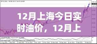 上海油价实时播报,最新油价走势及今日油价分析(十二月版)