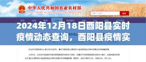 2024年12月18日酉阳县实时疫情动态及深远影响实录