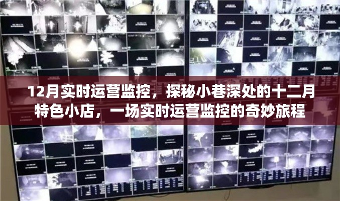 探秘小巷深处的十二月特色小店,实时运营监控之旅
