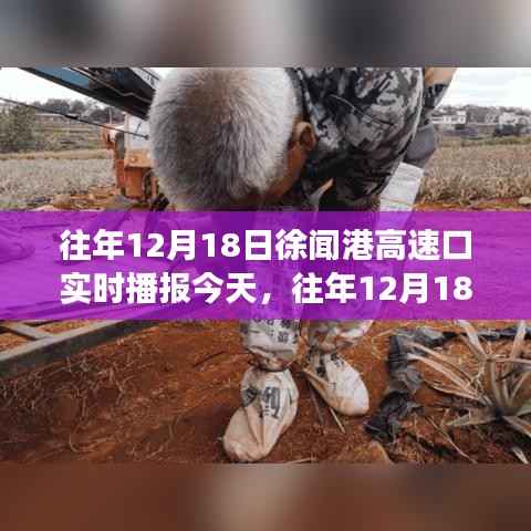 历年12月18日徐闻港高速口实时播报,今日交通状况分析与影响观察