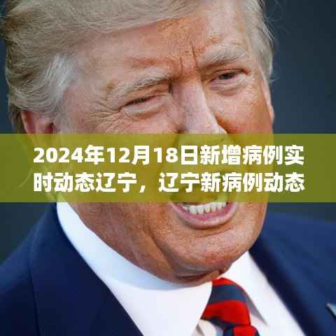 辽宁新病例动态下的自然探索之旅,寻找内心的宁静与微笑(实时更新至2024年12月18日)