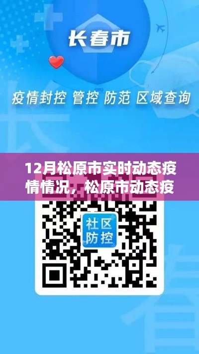 松原市实时动态疫情监控，科技守护下的安全防线