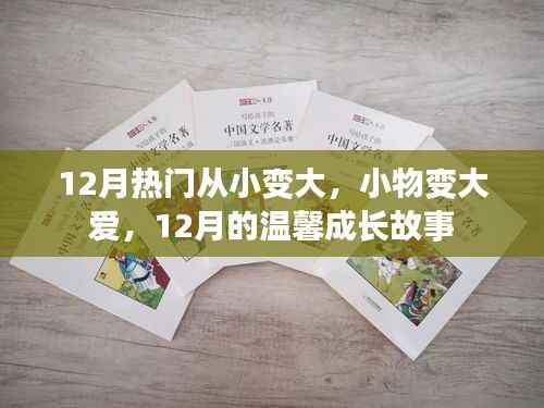 12月温馨成长故事,小物变大爱,从小到大的爱心成长之路