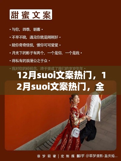 全面评测与介绍,12月热门suoi文案精选