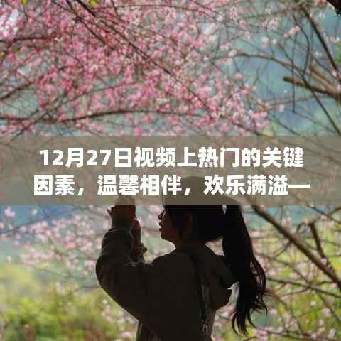 揭秘温馨日常背后的秘密,12月27日视频走红的关键因素与欢乐满溢的日常故事