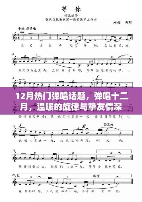 弹唱十二月,温暖的旋律与挚友情深之夜