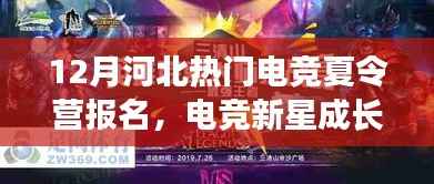河北电竞夏令营新星成长计划,入门到精通的全攻略报名启动