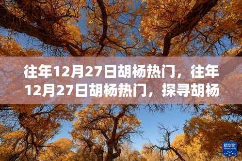 探寻胡杨魅力与热门事件背后的故事,历年12月27日胡杨之旅的热门揭秘