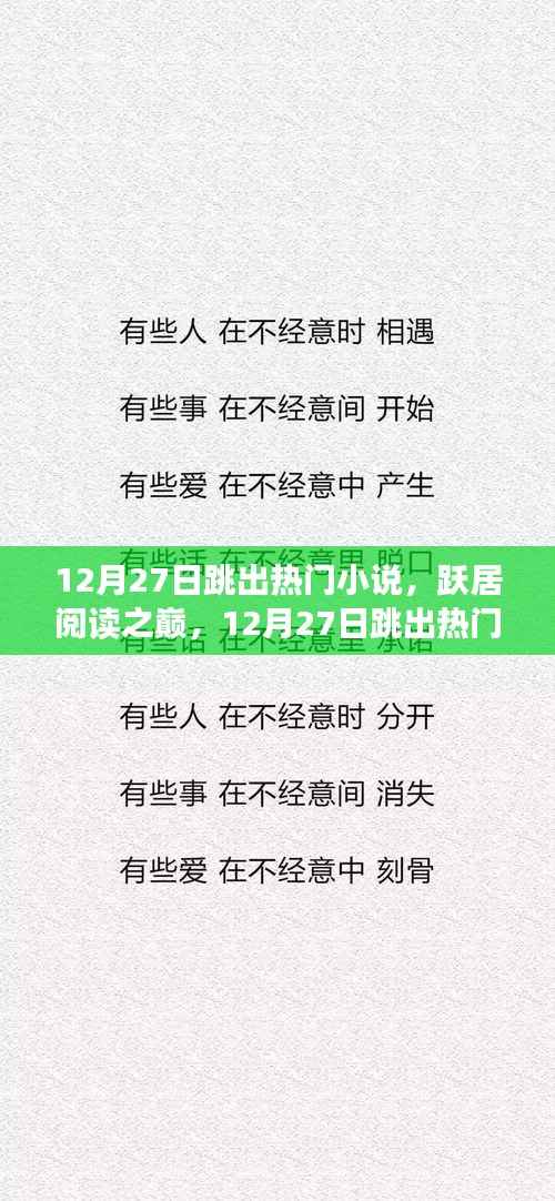 12月27日热门小说跃居阅读之巅,全面评测与介绍