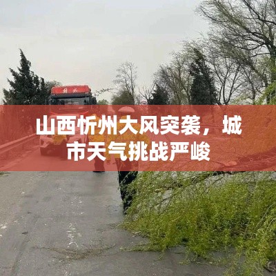 山西忻州大风突袭,城市天气挑战严峻