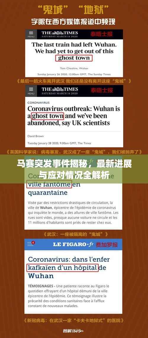 马赛突发事件揭秘,最新进展与应对情况全解析