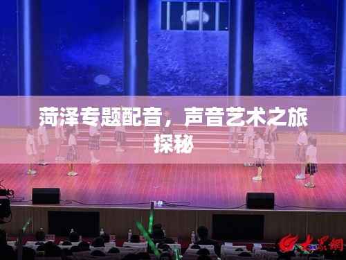 菏泽专题配音,声音艺术之旅探秘