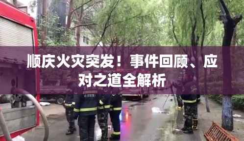 反正还淳 第3页