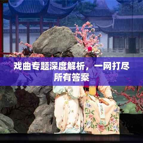 戏曲专题深度解析,一网打尽所有答案