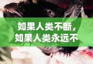 如果人类不断,如果人类永远不死