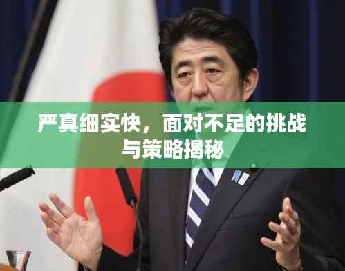 严真细实快,面对不足的挑战与策略揭秘