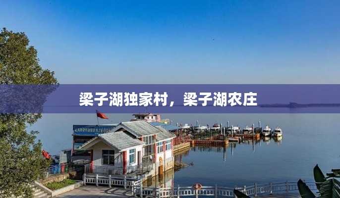 熊经鸟申 第3页