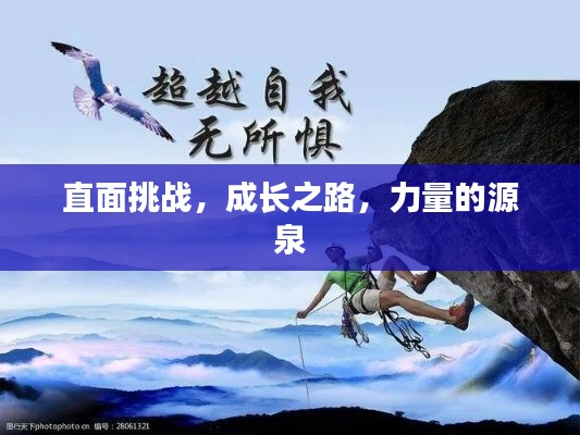 直面挑战,成长之路,力量的源泉
