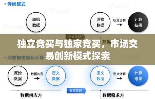 独立竞买与独家竞买，市场交易创新模式探索