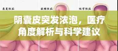 阴囊皮突发浓泡,医疗角度解析与科学建议