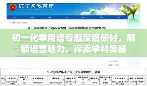 初一化学用语专题深度研讨,解锁语言魅力,探索学科奥秘