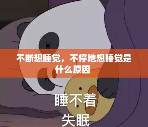不断想睡觉,不停地想睡觉是什么原因