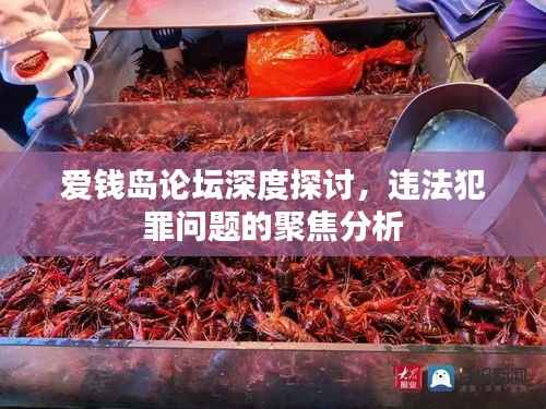 爱钱岛论坛深度探讨，违法犯罪问题的聚焦分析
