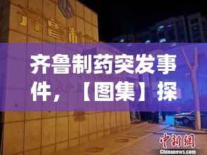 小鸟依人 第3页