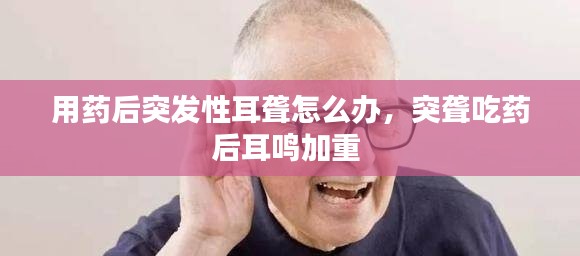 不飞则已 第3页