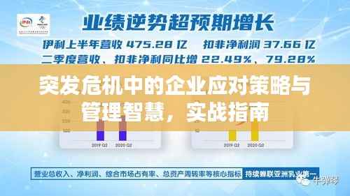 突发危机中的企业应对策略与管理智慧,实战指南
