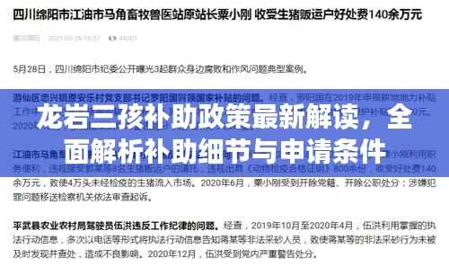 龙岩三孩补助政策最新解读,全面解析补助细节与申请条件