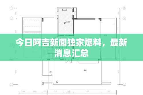 今日阿吉新闻独家爆料,最新消息汇总