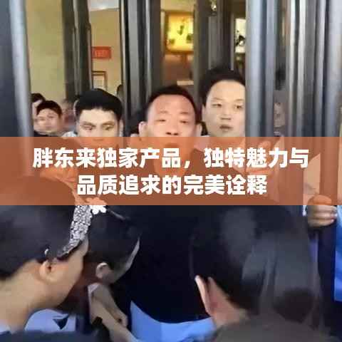胖东来独家产品,独特魅力与品质追求的完美诠释