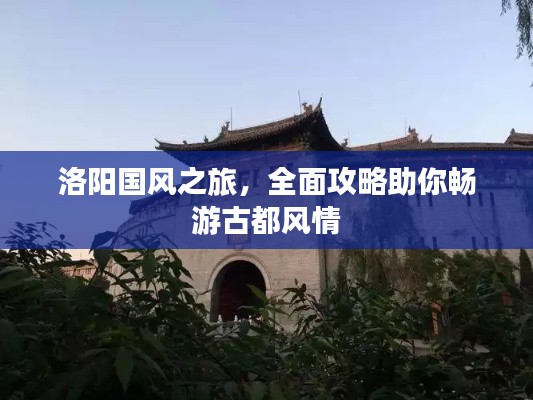 洛阳国风之旅,全面攻略助你畅游古都风情