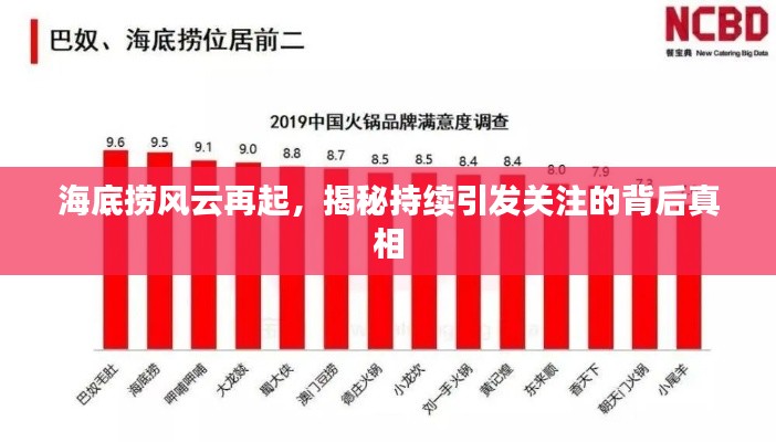 海底捞风云再起,揭秘持续引发关注的背后真相