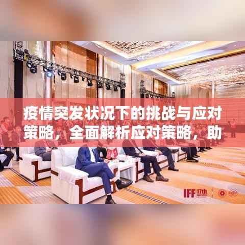 疫情突发状况下的挑战与应对策略,全面解析应对策略,助力应对危机!